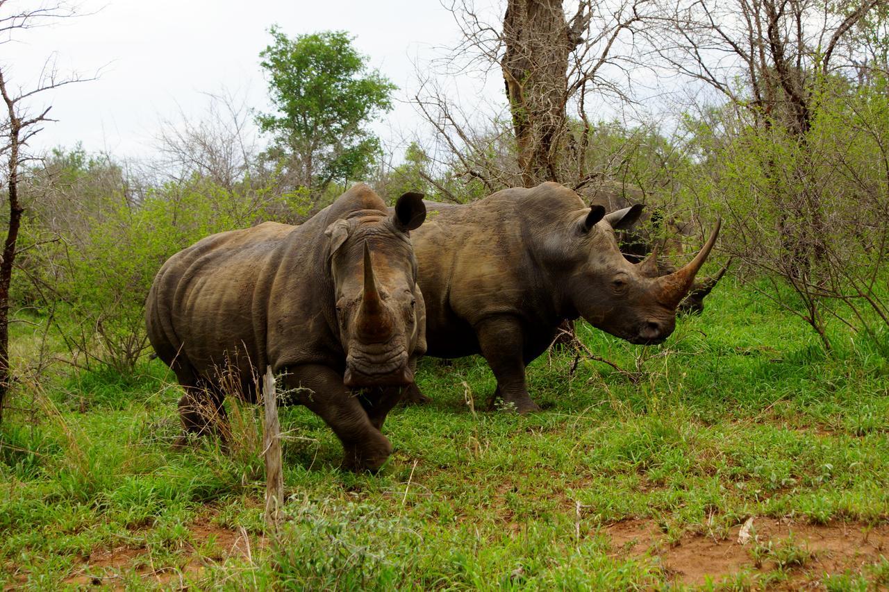 Marloth Park Hippo House Villa Bagian luar foto