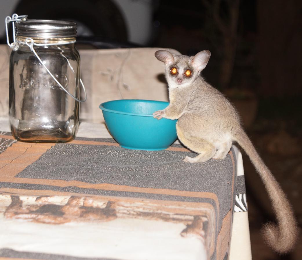 Marloth Park Hippo House Villa Bagian luar foto