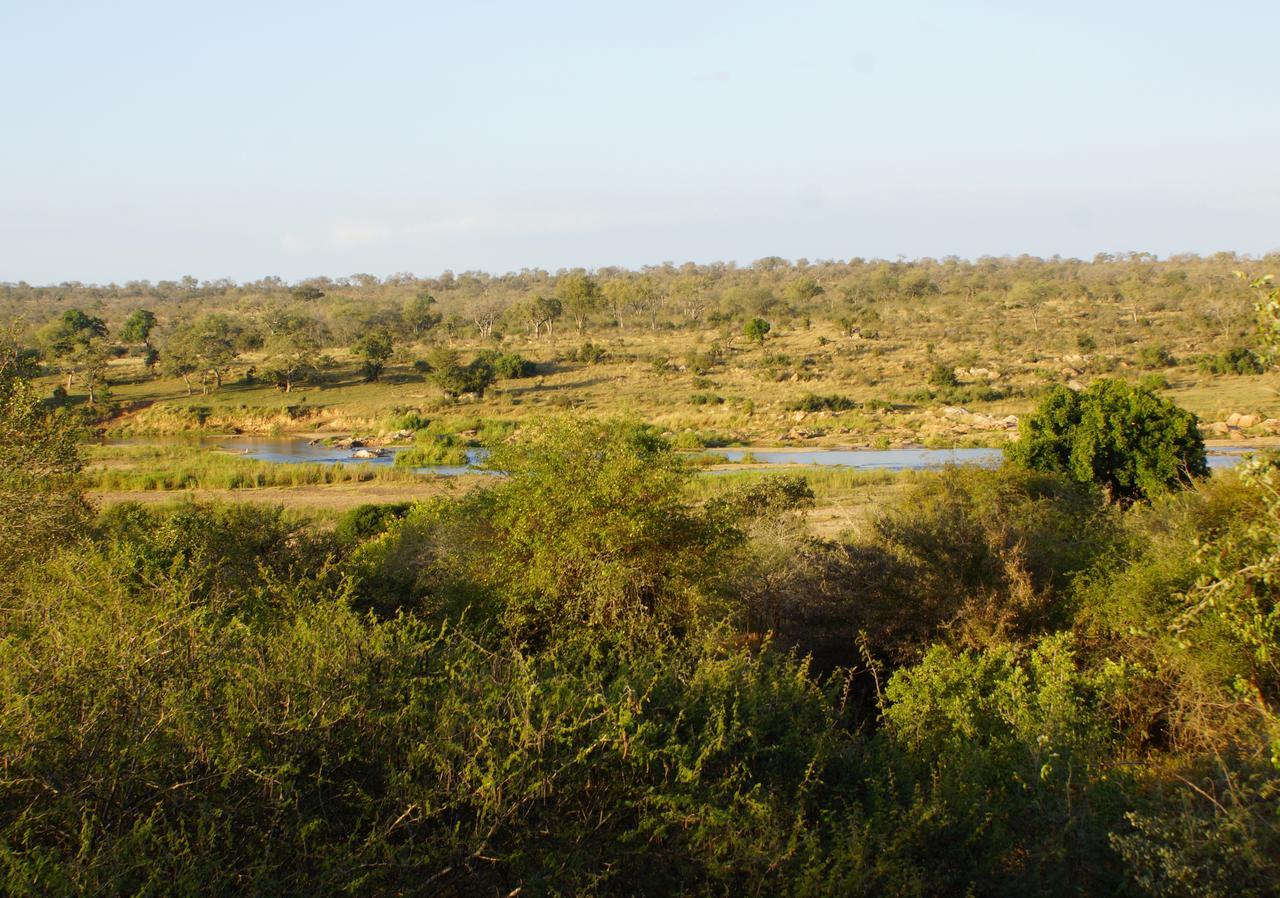 Marloth Park Hippo House Villa Bagian luar foto